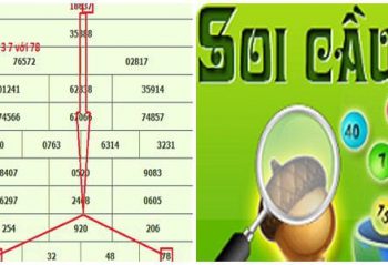 soi cau bach thu mien bac cau chay 3 ngay